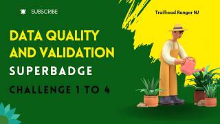 Data Quality and Validation Superbadge Unit | Challenge 1 to 4