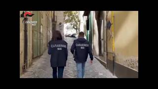 carenze-igieniche-e-alimenti-conservati-sul-pavimento-nas-chiudono-due-locali