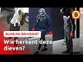 Diefstal in 30 garageboxen Den Bosch: auto, scooter en meer weg | Bureau Brabant