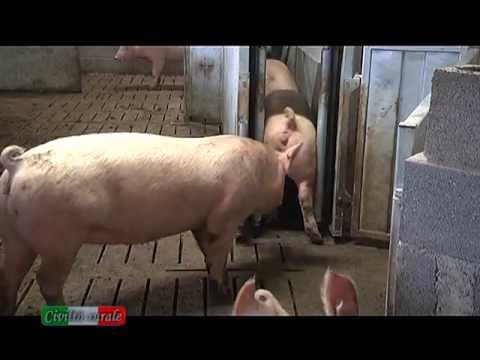 Civiltà Rurale - Puntata del 2 maggio 2013