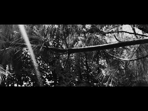 Redeyes - Delicate / Between The Waves