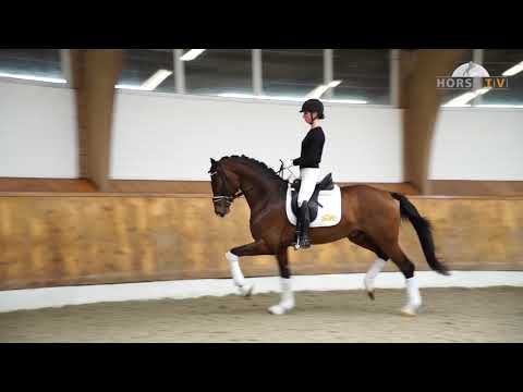 Fusionist - Trainingsimpressionen 2019