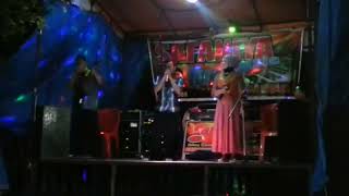 Download lagu LAGU MINANG ◾ COGOK MANCOGOK 🎵🎵 ◾◾ Tamar Laut ft Artis Orgen,,!! mp3