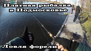 Платная рыбалка барыбино