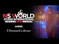 I Dreamed a Dream - Sabine Meynadier 