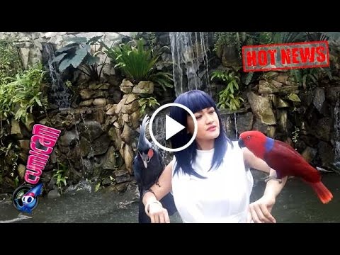 Usia 36, Jupe Menyatu dengan Alam - Cumicam 15 Juli 2016