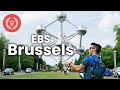 EBS Brussels School European Bartender School