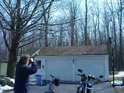Dad absolutely wrecking hornet's nest with shotgun