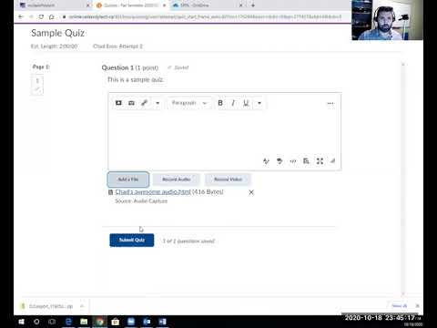 Submitting Files In Brightspace Quiz