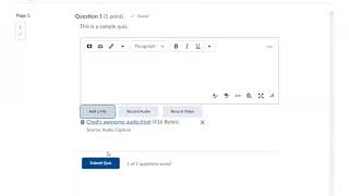 Submitting Files in Brightspace Quiz