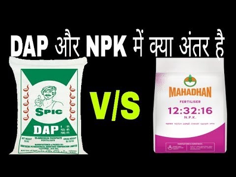 Dap vs npk fertilizer