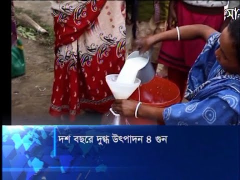গত দশ বছরে দেশে দুধের উৎপাদন বেড়েছে চার গুনের বেশী | ETV News