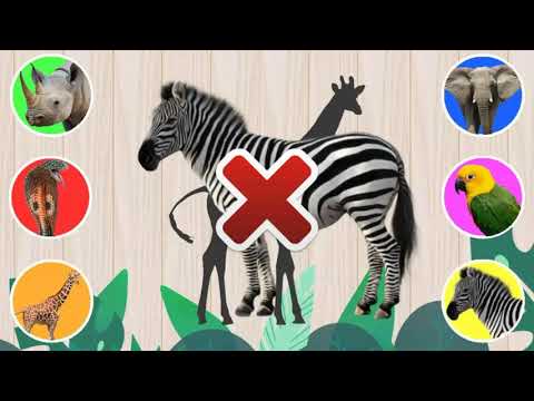 , title : 'Can You Guess |The Jungle Animal  |  Rhinoceros| Snake| Giraffe| Elephant| Parrot, Zebra  | #ANIMALS'