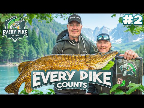 ILTASYÖNTI! - Every Pike Counts 2024 with Kurre | Episode 2