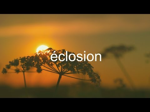 Oscar Voisin - Eclosion (Ambient Work Selection)