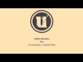 Eddie Amador - Rise (Tommyboy vs Budai Mix ...
