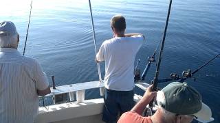 preview picture of video 'Why Knot Charter - Salmon and Trout fishing trip'