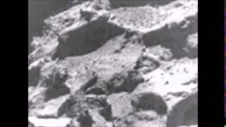 FRANK ZAPPA --  A LITTLE GREEN ROSETTA (STONE COMET)