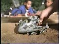 Gi Joe Valor Vs Venom Ad 2004