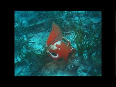Amphorenfeld  - Insel Lastovo, Insel Lastovo,Kroatien