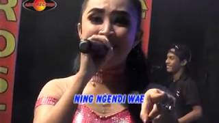 Download lagu Rina Amelia Feat. Gundiks - Pokok'e Melu | Dangdut ( Music Video) mp3