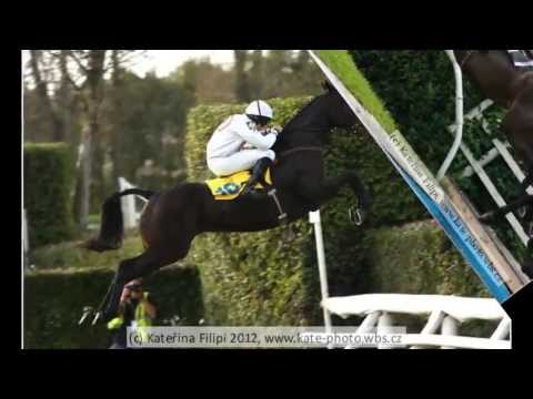 Komu budu fandit při 123. Velké pardubické?