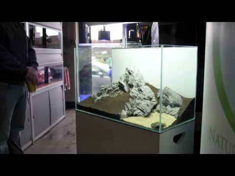 Nature Aquarium - 60 cm Iwagumi by Adam Wozniak