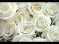 Юрий Шатунов - Белые розы karaoke Róża 