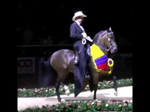 Tentadora De Barcelona