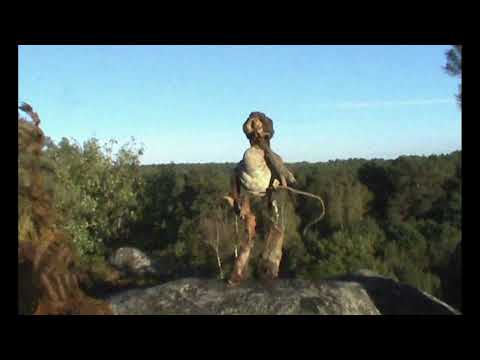 YouTube video