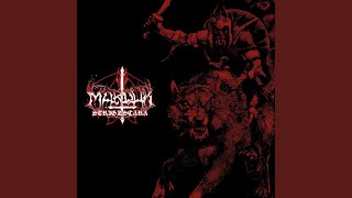 Darkness Breeds Immortality (Live)