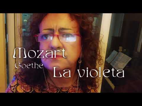 "La violeta" - MOZART | LauraTenora