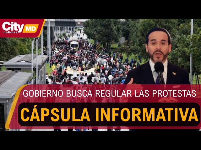 Cápsula informativa: Gobierno publica borrador para regular protestas