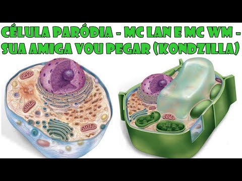 CÉLULA PARÓDIA - MC  Lan e MC WM - Sua Amiga  Vou Pegar (KondZilla)