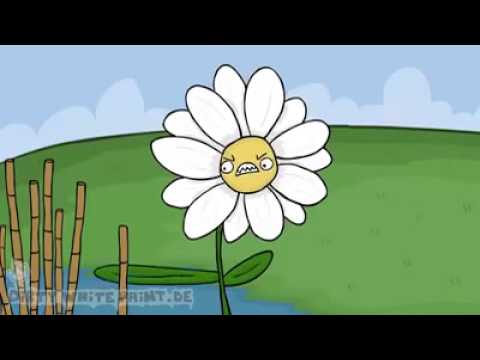 Ich bin eine Biene 5