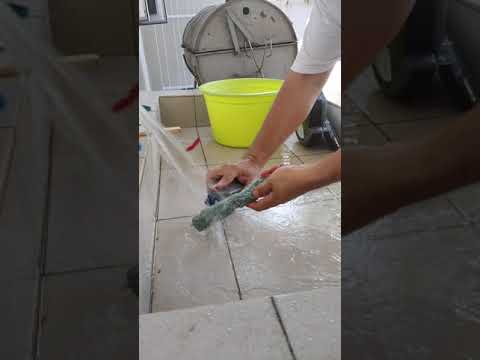 How to clean shinebot