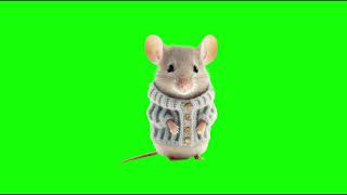 Green Screen AI Generated Mouse | Free To Use (Chroma Key)