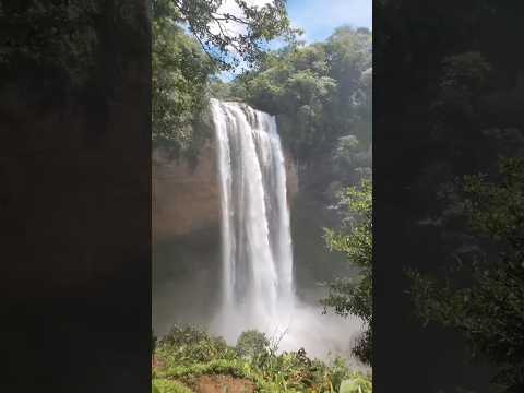 Cascada kiki comarca Nogöbe buglé 🔥Panamá 🇵🇦 #mrbeast #trip #panama