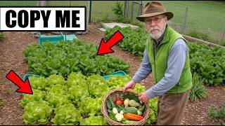 6 TOP Crops to Grow at Home to Save You From STARVING