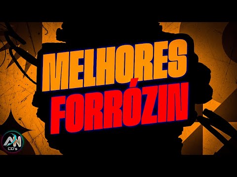 MELHORES FORRÓZIN 1.0 - SELEÇÃO DO TIK TOK 2024 - AS MAIS TOCADAS PRA PAREDÃO - FORRÓZIN 2024