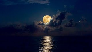 NO MORE Insomnia ★︎ Immune System Booster ★︎ Stress Relief, Delta Waves, Dark Screen