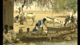 Terre brûlée: La FAO au Soudan