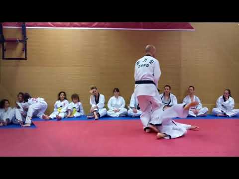 The Korea Hapkido Federation Austria - Mai 2019