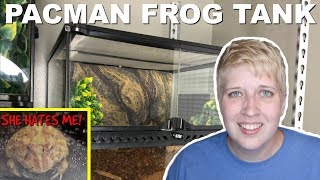 PACMAN FROG TANK CLEAN AND COMPLETE SET UP by Pickles12807