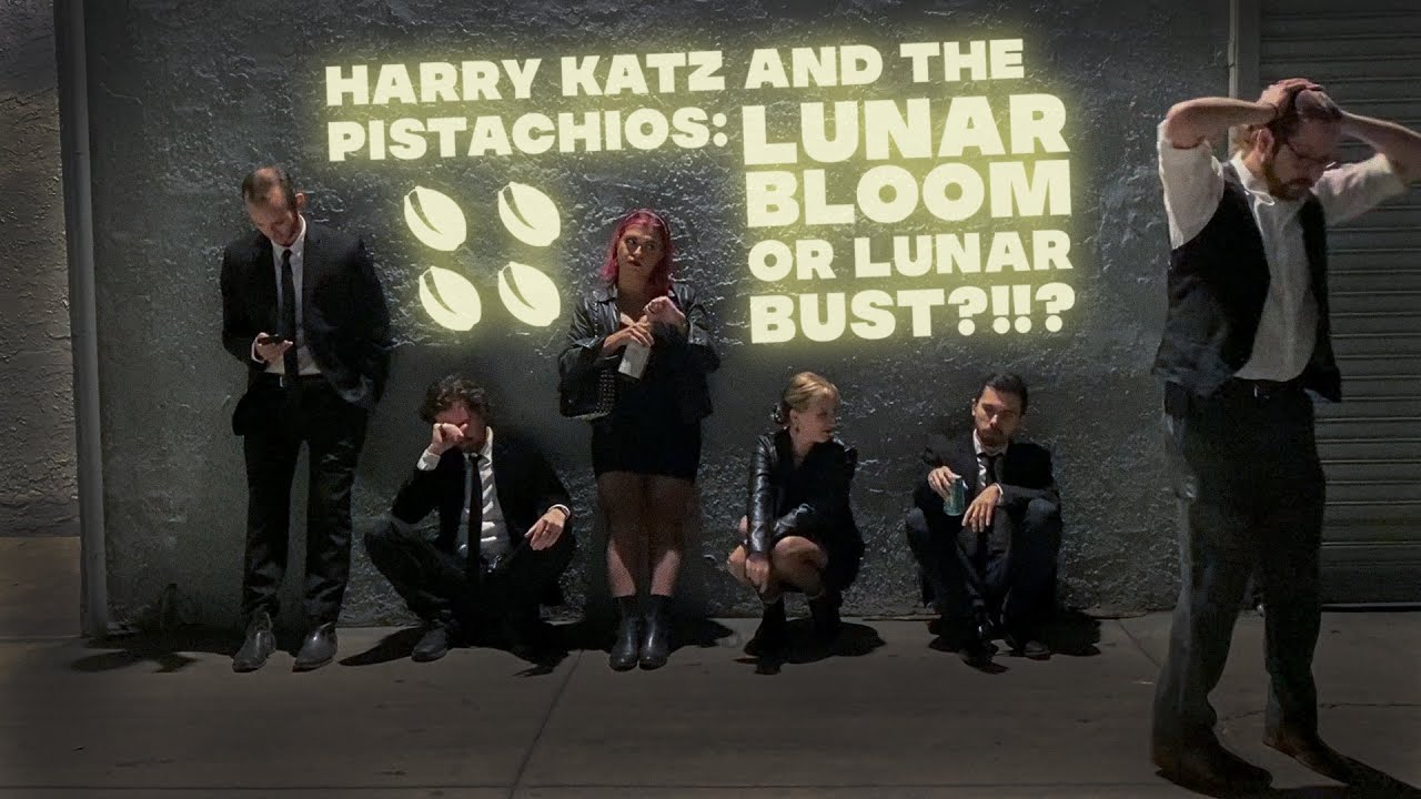 Promotional video thumbnail 4 for Harry Katz and the Pistachios