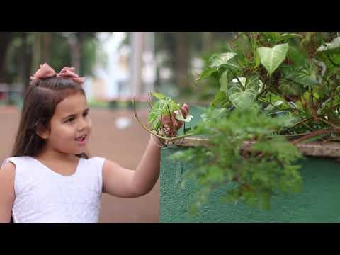 QUE LINDA VOZ TEM ESSA CRIANÇA!