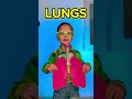 🧠 Body Secrets: Organs Inside Us!❤️ #kids #learn