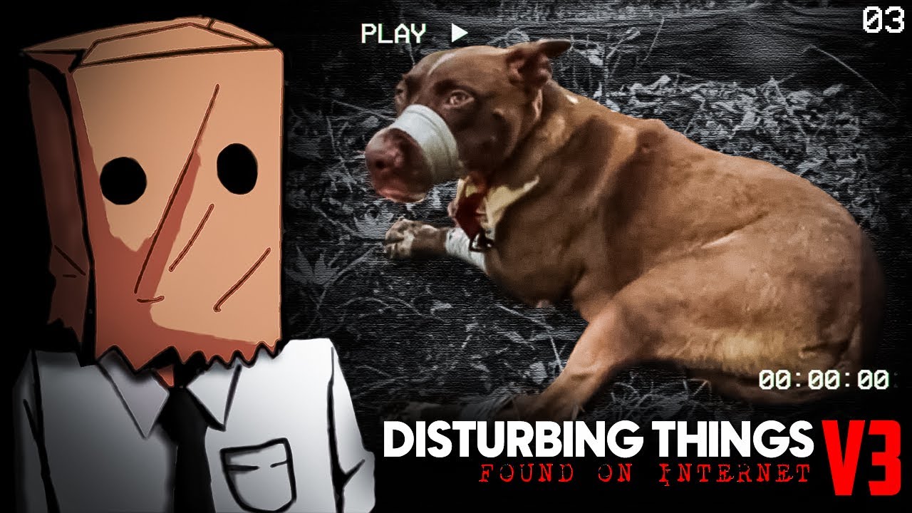 DISTURBING THINGS FOUND ON INTERNET [VOL.03]