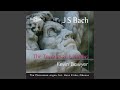 Toccata, Adagio & Fugue in C Major, BWV 564: Adagio
