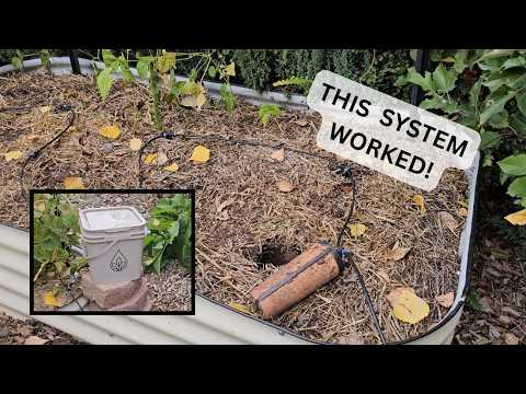 Thirsty Earth Olla System Review  How Did it Work